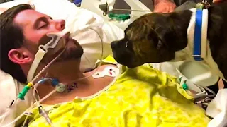 Dying Man Says Final Goodbye To His Dog, But The Dog's Reaction Will Make You Cry!