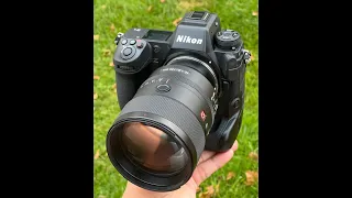 Sony 600GM with 1.4/2x TC on Nikon Z9 via Megadap ETZ21.