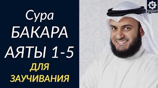 Аяты 1-5 Суры Аль-Бакара, для заучивания, красиво читает шейх Мишари Рашид