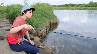 【田舎の釣り暮らし】近所の川で、無限に湧き出るエビをとる