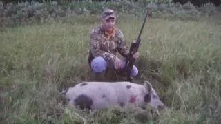 Big white Texas boar!