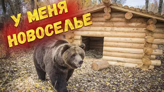 Медведю Мансуру построили сказочный домик🐻🏠