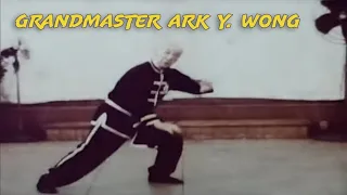 Grandmaster Ark Y. Wong - Tiger