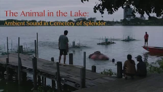 The Animal in the Lake: Ambient Sound in Cemetery of Splendor