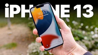 iPhone 13 Review & Kameratest - Die EINZIG WAHRE Option!