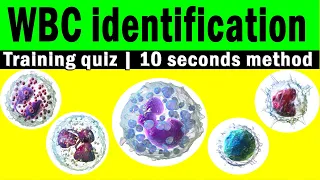 WBC identification training quiz | real WBCs images | 10 seconds method | Hematology