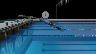 How to Dive Off a Block in the Swimming Pool