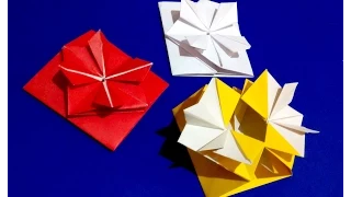 Pop-up Envelope with flower and secret message inside.  Origami Gift card