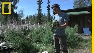 Alaskan Medicine - Deleted Scene | Life Below Zero