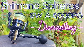 Shimano Spheros SW A 6000PG - Part 1/2 Dismantling - Reel service and maintenance -