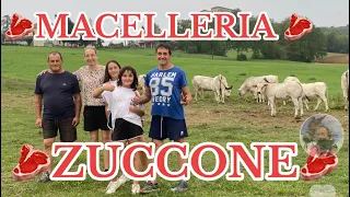 Az.agricola allevamento razza piemontese e macelleria di Zuccone Claudio Frinco (AT)