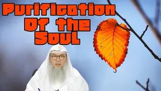 What are the steps of purification of the soul? - assim al hakeem