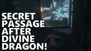 Secret Passage After Divine Dragon! Shume Masaji Oniwa Guide Seven Spears Sekiro 55