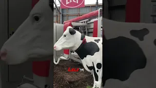 Lely Astronaut Robotic Milking System for Dairy Cows at Canadian Dairy Xpo 2023