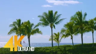 Best Beaches of Oahu, Hawaii in 4K - Long Relax Video with Nature Sound (6-Hour)