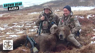 Super Remote Brown Bear Hunt in Cold Bay, Alaska