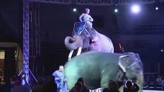 Garden Bros. Circus comes to Dothan