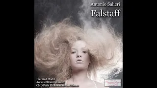 17003 Salieri: Falstaff