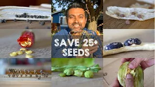 How to Save 25+ Vegetable Seeds From Your Plants