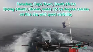 Mariette De Jager Spearfishing in Falsebay, Cape Town