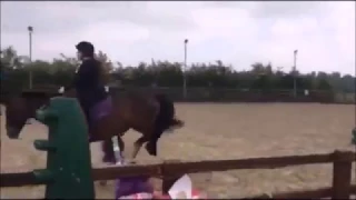 horse fails pt1