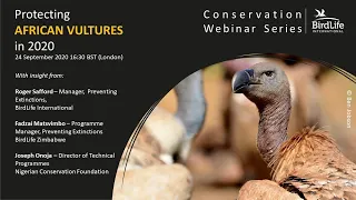 Saving African Vultures in 2020 | BirdLife Conservation Webinar Series