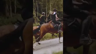Horse riding  horses