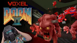 DOOM in STUNNING 3D! Voxel Doom II