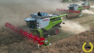 Rapsernte | 3 Claas Lexion 770 | Fendt 942 Vario | Hawe 4000 | LKW | Krampe Kipper