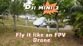 Flying a Dji Mini 2 like an FPV drone - New Ways of flying your Dji Mini 2