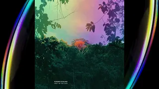 Kosmo Sound - Fruit Of The Void (Full Album 2022)
