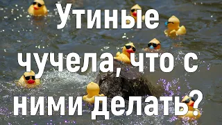 Охота на утку на воде с чучелами. Часть 1.