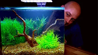 Aquascaping and Review Of Imagitarium 6.8 Gallon Kit