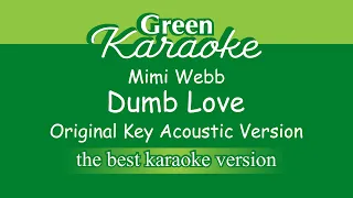 Mimi Webb - Dumb Love (Karaoke) Acoustic Version