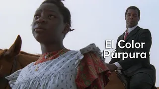 🎦EL COLOR PURPURA (1985) | RESUMEN🎦