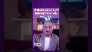 Эзотерический метод избавления от аллергии на кошек