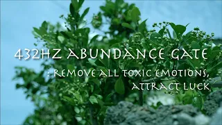 ⚗️ 432 Hz Abundance Gate, Remove All Toxic Emotions | Attract Luck & Wellbeing ▶️ 3 Hour