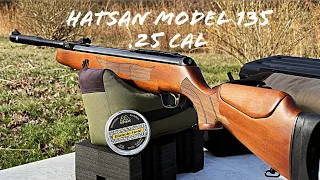 Shooting Air Arms Pellets through the Hatsan Model 135QE .25 Cal