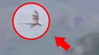 5 REAL DRAGON CAUGHT ON CAMERA IN REAL LIFE !