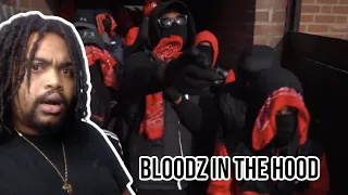 DUTCH DRILL REACTION #ZQ Impy - Bloodz n da Hood