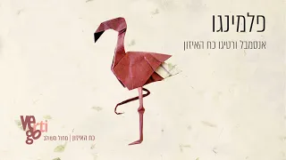 אנסמבל ורטיגו כח האיזון | פלמינגו   Vertigo Power of Balance Ensemble | Flamingo