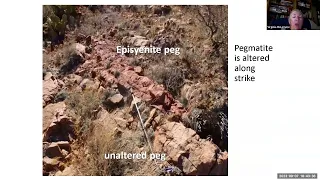 REE potential and origin of the Cambrian-Ordovician carbonatites and episyenites in  New Mexico