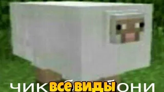 ЧИКИБОМБОНИ ВСЕ ВИДЫ!