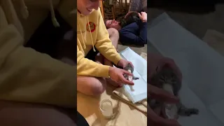 Teaching Teenagers How to Bottle Feed Kittens