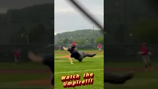 #Shorts Solo Umpire's Spectacular Call in the Rain!