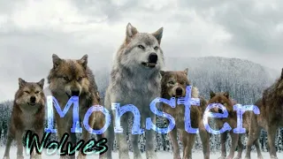 Monster || Twilight Wolves 🐺