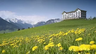 Top 10 Hotels for Honeymoon & Romance in Switzerland