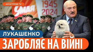 ЛУКАШЕНКА ВИКЛИКАЛИ НА ПАРАД / Загроза з білоруського кордону // Латушко