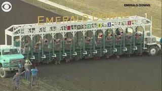 T. Rex race at Emerald Downs is just incredible | 10News WTSP