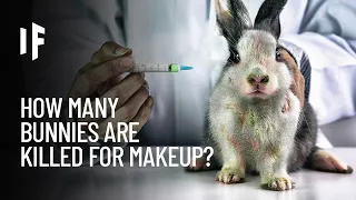 What If We Stopped Animal Testing?